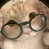 elle_oz1