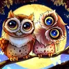 owl_loverstif