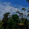 rain_longtime