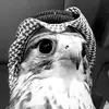 𝓑َِ