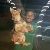teimaginas1