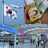 nguyenhoang311207