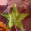 meovotriyeunuoc1234