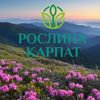 Віталіна - Ваш фітоконсультант