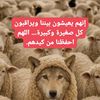 user1086938111260
