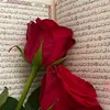 nbvhgf19