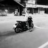 lin_nut1945