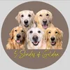 5 Shades of Golden