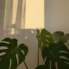 mxii_lara2