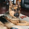 jen_lc76_malkilue