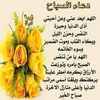 user3443800998523