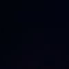 ._leao