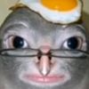 gyhdun