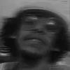 zmz_113