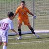 hamzadzananovic0