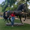 tinamilla850