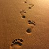 footprints6993
