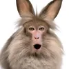 farrsindiano