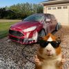prestondyok
