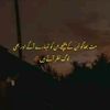 daudulhassan58
