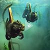 spinosaurus_official10