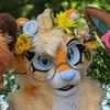 msbidoof