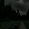 hannah_0676