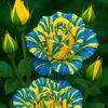 ahmed_77661