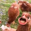 binnytpwk_06
