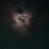 dygalx2jl0z0