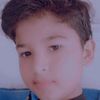 ameerhamza5319