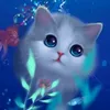 its_na16