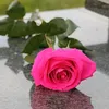 userr24cgfsnq1