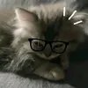 hxnak0_1
