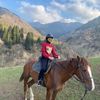 noorzaki333