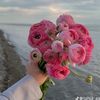 flora2652
