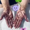 nadiandin123