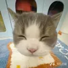 _acnyr_