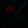 no_userr712