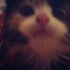 usernaame_1818