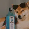 el_desconido_n