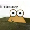 super_krytoi_tazik