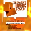 tremor.turmeric