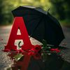 abir.712