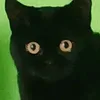 ktos_napewnoq