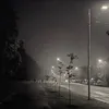van0lav1