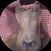 الرشيديّ