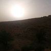 foshfosh95