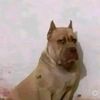 deriva_nevado