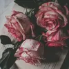 ayasaidsaid1
